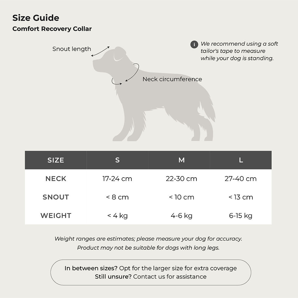 Thumbnail: Comfort Recovery Collar