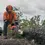 Thumbnail: HUSQVARNA 540 XP® Mark III