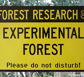 USA森林局　弾痕看板 USA森林局 弾痕看板