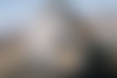 Amazing! Walls DO Work After All? Biden DHS Chief Admits Trump Was Right, 