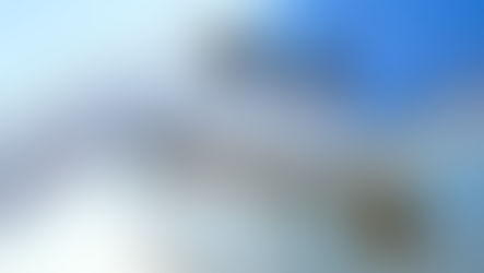 The Wartime Presidency Part II: A Government in Exile