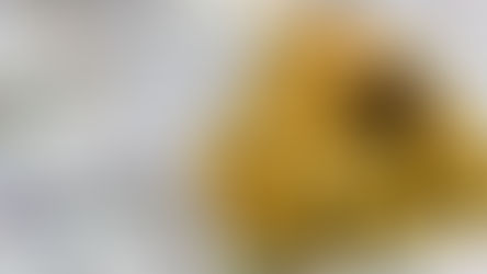 Why 42 States Have Removed Taxes from the Purchase of Gold and Silver