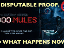 So, ‘2000 Mules’ Proves Election Fraud. Now What?