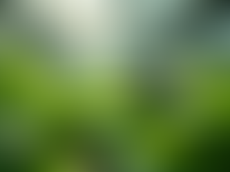 Innovative Aquaponics for Caribbean Restaurants and Hotels