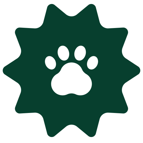 _Sobbatical_animal_welfare_sun_green_1x.png