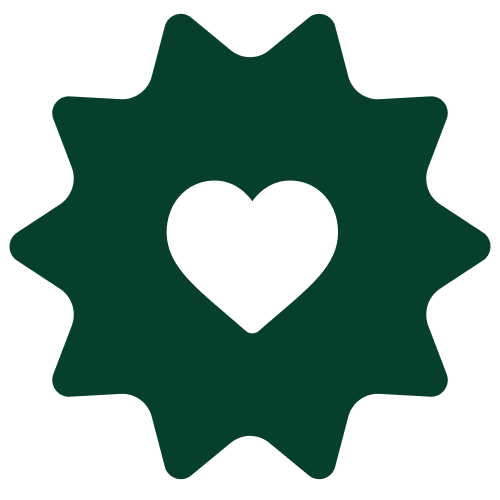 _Sobbatical_social_commitment_sun_green_1x.png