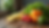 Eye-level view of antioxidant-rich fruits and vegetables on a wooden table