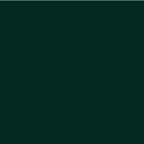 _Sobbatical_social_commitment_green_1x_edited.png