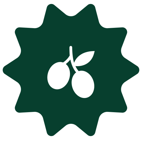 _Sobbatical_environmental_protection_sun_green_1x.png