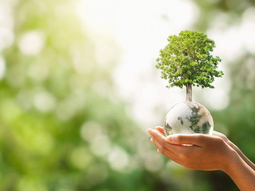 Creating a Hope Letter