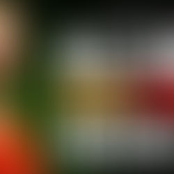 Black Women in Politics, Activism & Justice Movements