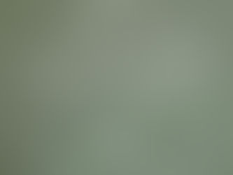 Navigating Adult ADHD: A Comprehensive Guide