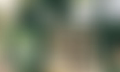 Healthy Boundaries: Understanding Co-Dependency and Taking Control of Your Life