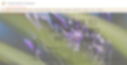 Screen Shot 2020-07-01 at 11.18.54 AM.pn