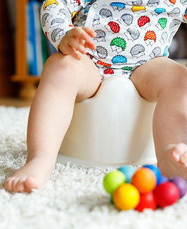 Playing with Toys