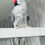 Thumbnail: Grey Indian Ringneck parrot for sale UK, 18 months old male with full ring