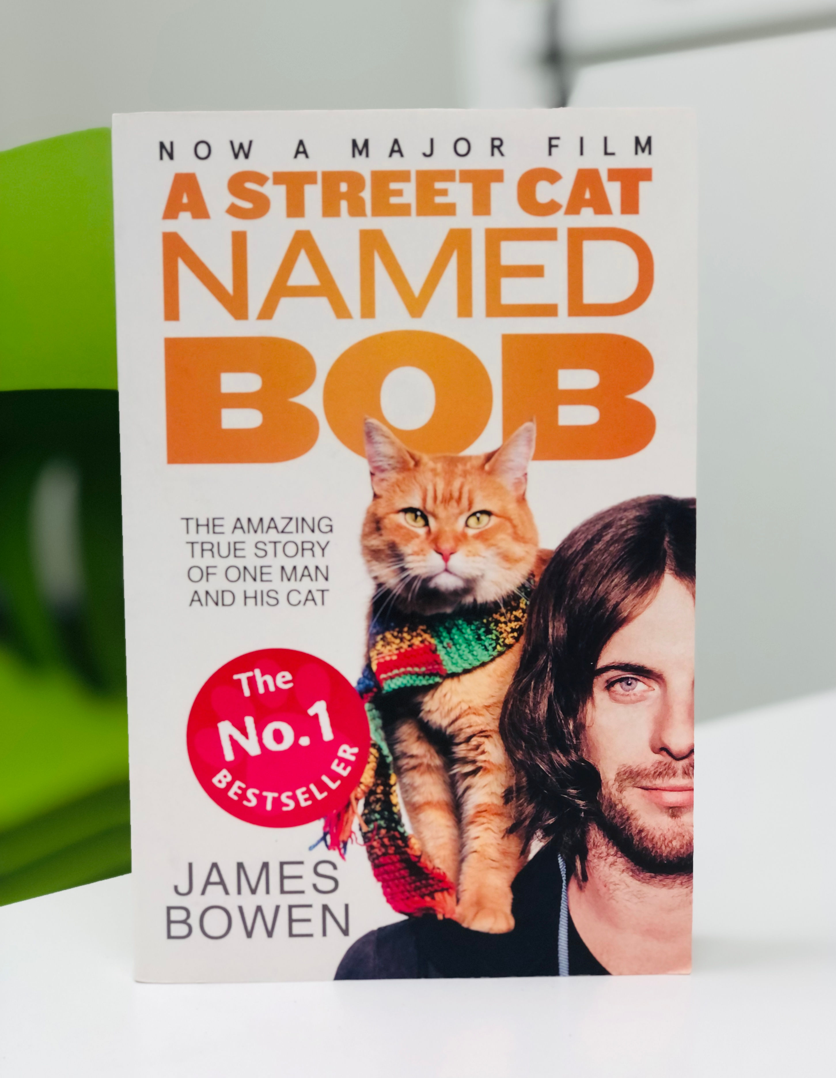 A Street Cat Named Bob – James Bowen