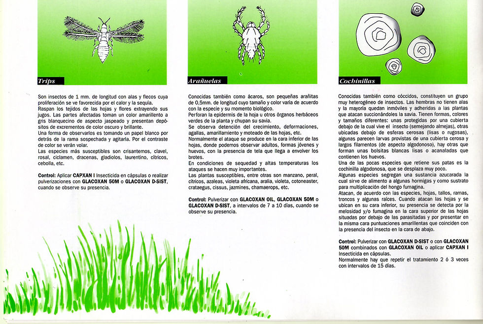 PLAGAS E INSECTOS