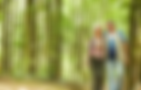 North Point header.png