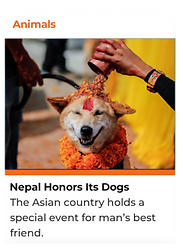 Edition mockups (NEW) + German (9).png