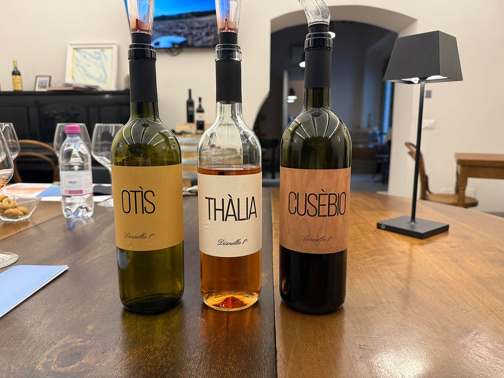 Otis - Thalia - Cusebio
