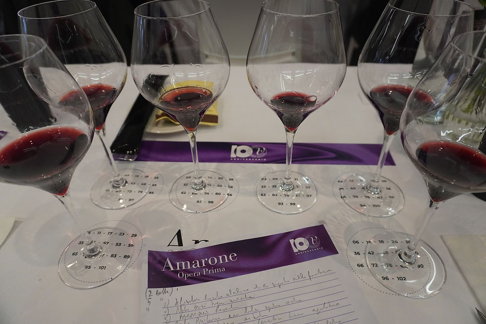 Amarone opera prima 2025