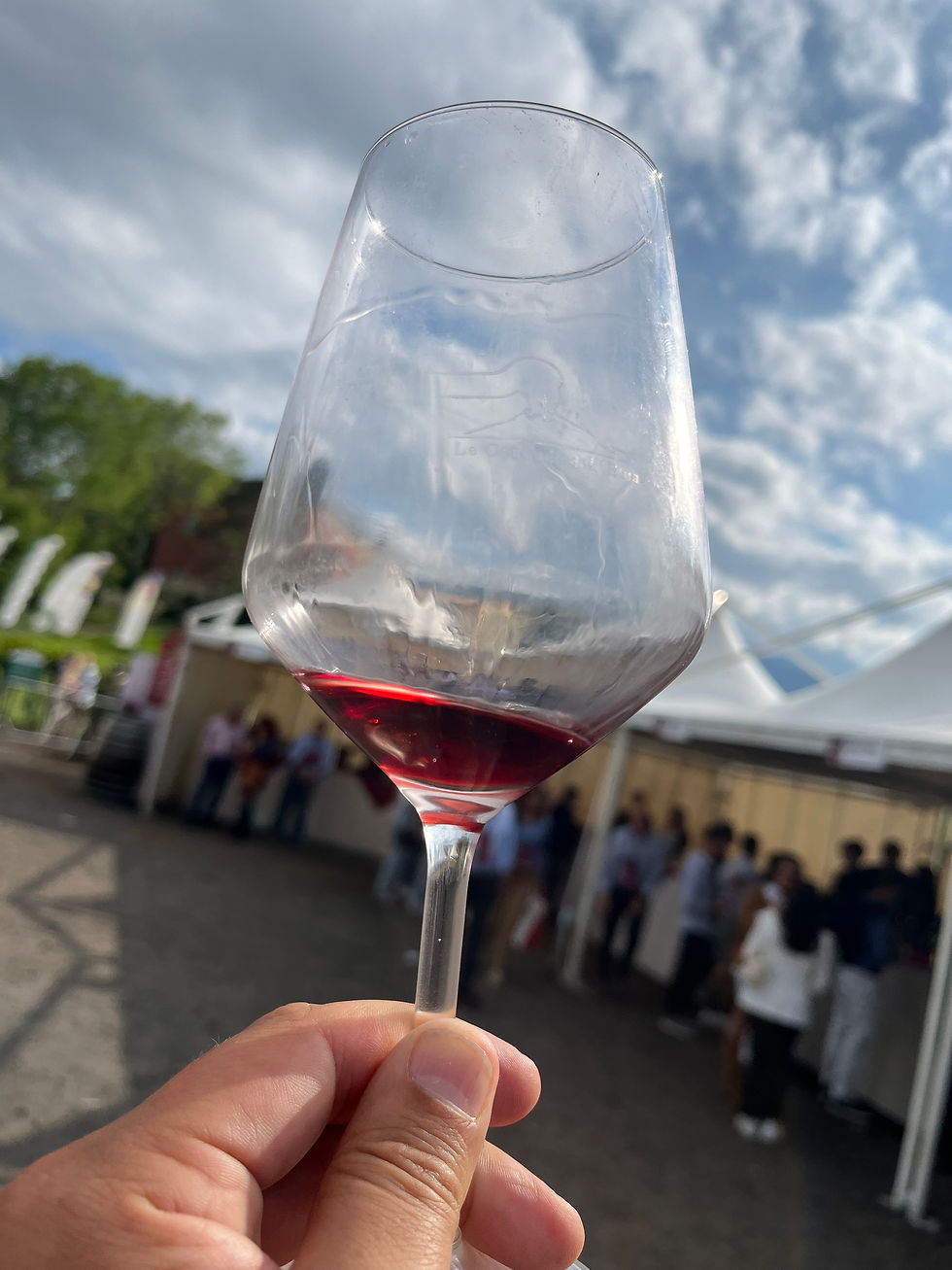 calice con vino in controluce