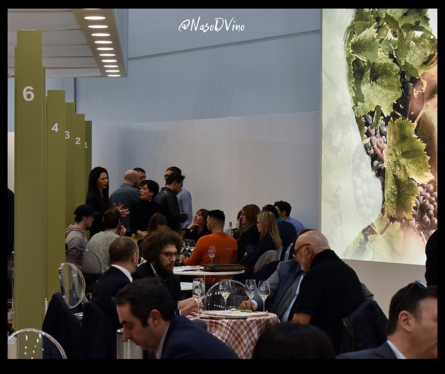 vinitaly 4