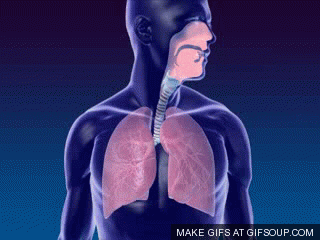 648b29cd8378fca567e1aa34a6c79a05.gif