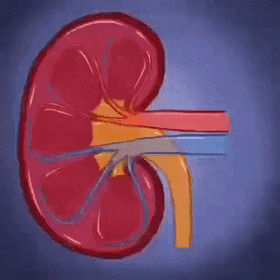 a4319bfb89330cd933bef63d5e382907.gif