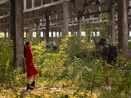 Step-by-Step: How Miyawaki Forest Consultants in India Create Dense, Self-Sustaining Forests