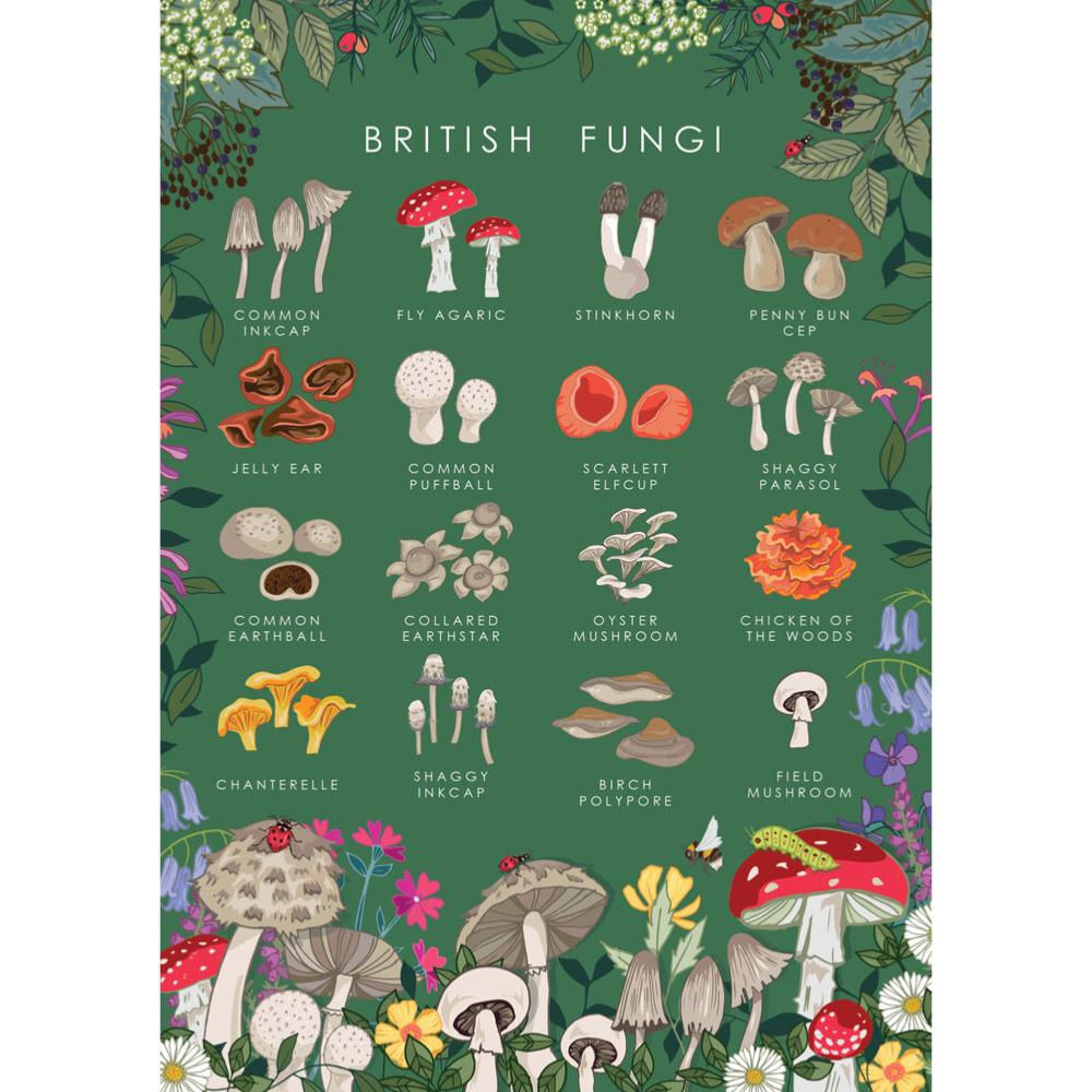 "British Fungi" Card