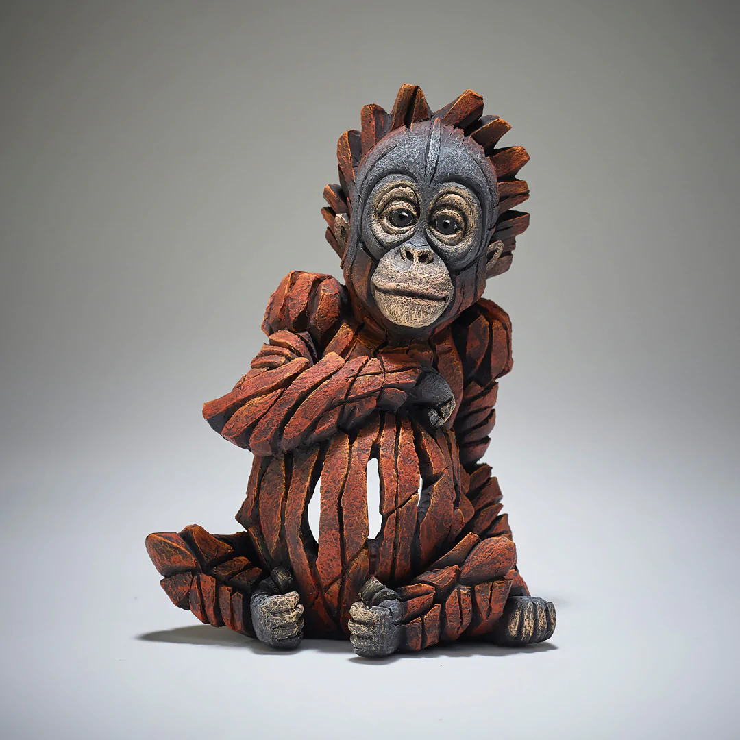 Baby Orangutan