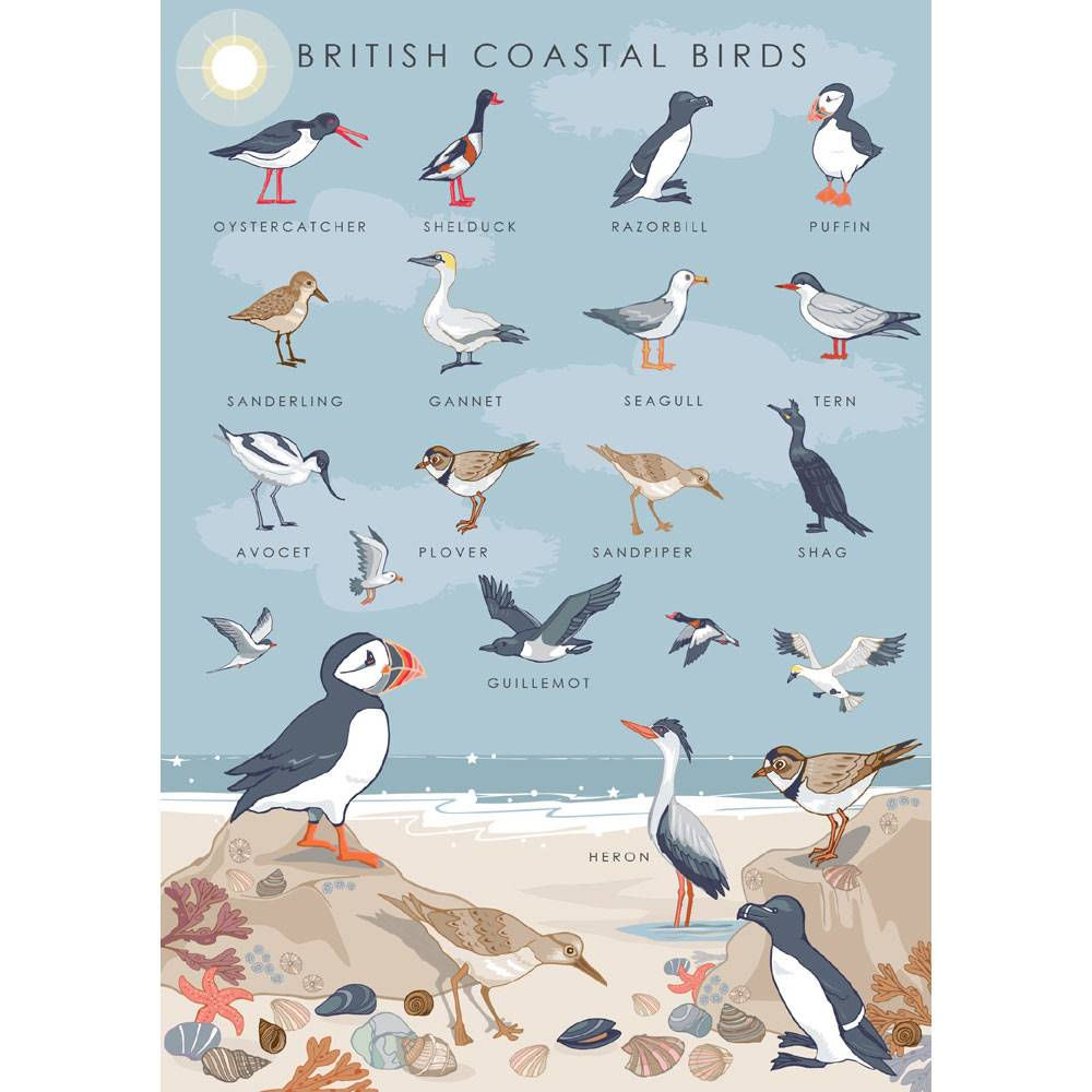 "British Coastal Birds" Card