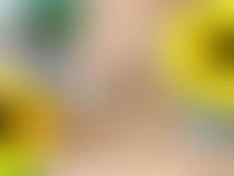 今週の予定