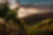 pexels-photo-2331884.jpeg