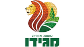 מועצה אזורית מגידו.png