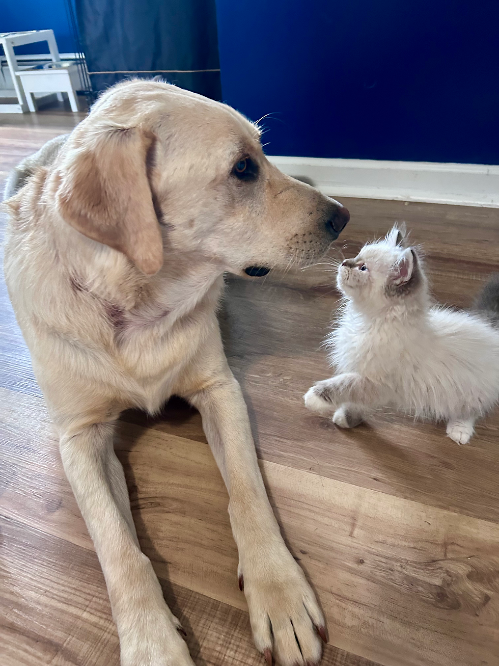 Solomon and Titus