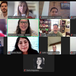 Trabajando en red después del Workshop en México