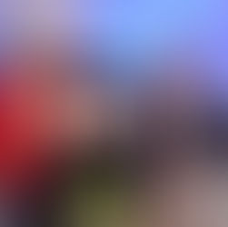 Juntas por el bien común: Encuentro de la Iniciativa de las Hermanas Católicas