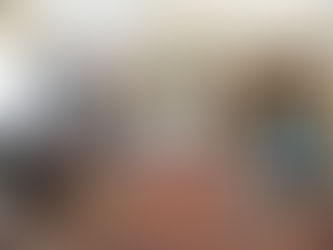 L'Executif de l'UMOFC rencontre le Pape