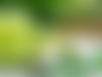 5+ Loại Nước Ép Ổi Tốt Cho Sức Khỏe
