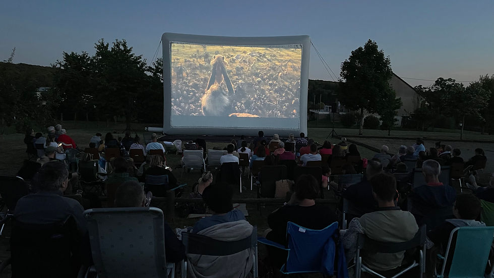 CINÉMA EN PLEIN AIR !