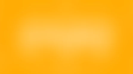 Vermisster Kater Arslan nach anderthalb Jahren in Nürnberg wiedergefunden