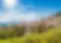 Assisi2-1920w.webp
