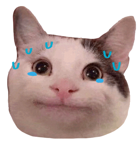 giphy.gif