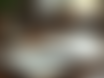 How Aspiring Writers Can Find Guidance for New Authors