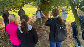 NATURE AND THE NERVOUS SYSTEM