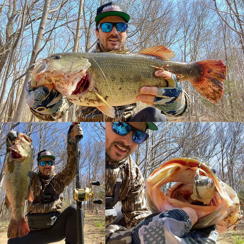 ONE PADDLETAIL TO RULE THEM ALL... 