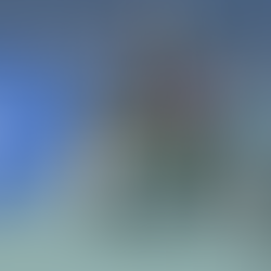 Exploring Industry Experience